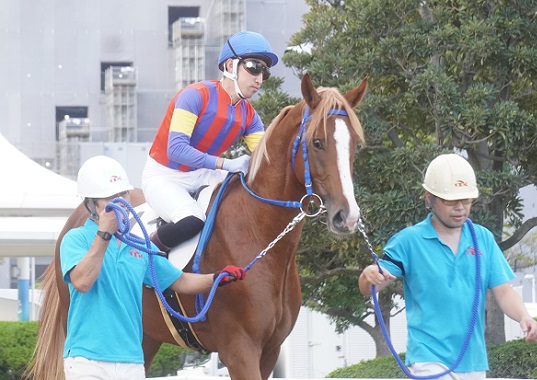期限切れがんばれ馬券 メイクデビュー東京 2014 ドゥラメンテ 東京5