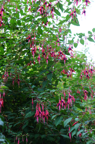 DSC00112.JPG