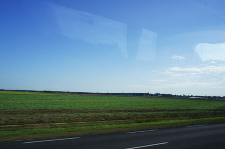 DSC00165.JPG