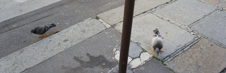 DSC00330.JPG