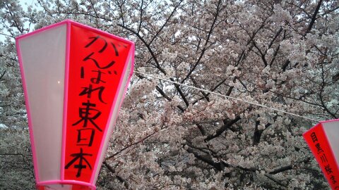 1302135411581.jpg