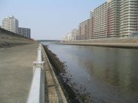 都市に住む