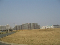 都市に住む