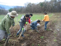 東御ワインプロジェクト苗植え参加