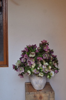 Image-1.jpg