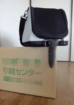 転居