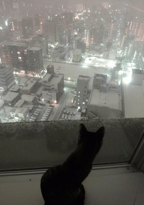 雪