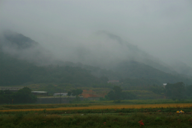 雨2