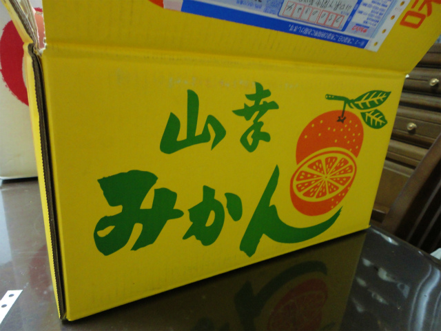 みかん3