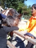 馬1