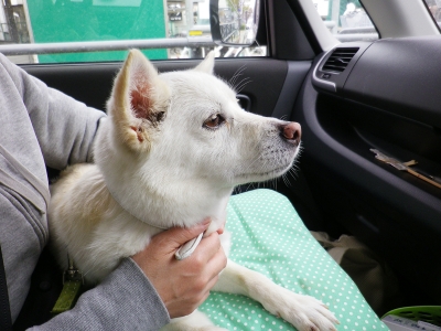 帰りの車内