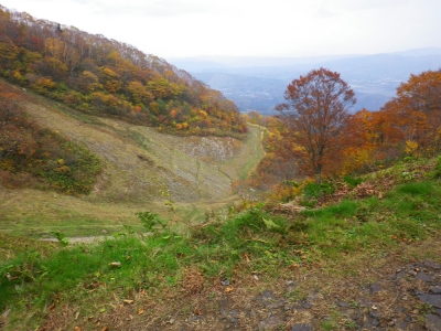 スキー場の紅葉
