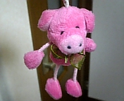 DVC00110.jpg