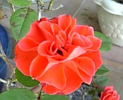 DVC00030.jpg