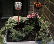 DVC00181.jpg