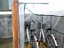DVC00278.jpg