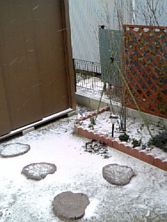 081226_081908.jpg