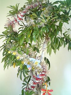 081225_090447.jpg