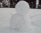 20090105113607.jpg