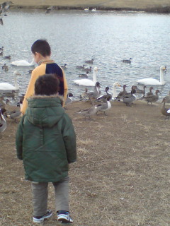 20090105102217.jpg