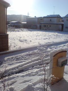20090201212047.jpg