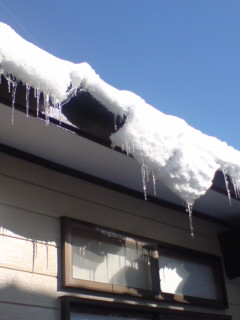 20090201212220.jpg