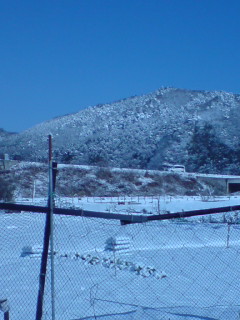 20090201212429.jpg