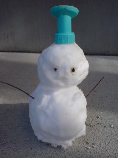20090201223121.jpg