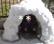 20090206211801.jpg