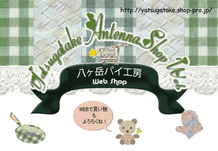 八ヶ岳パイ工房アンテナショップのブース、チラシ