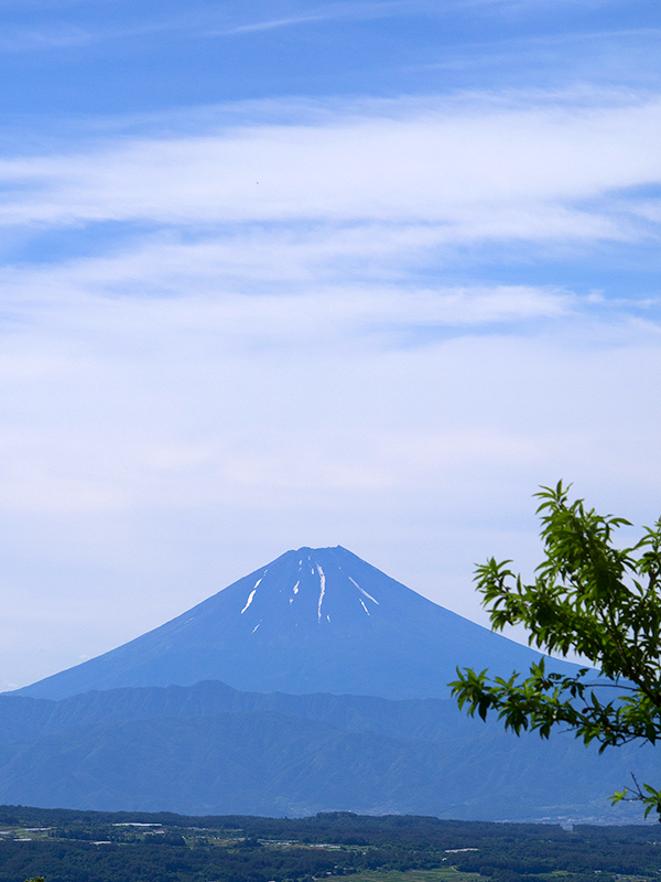 朝の富士山