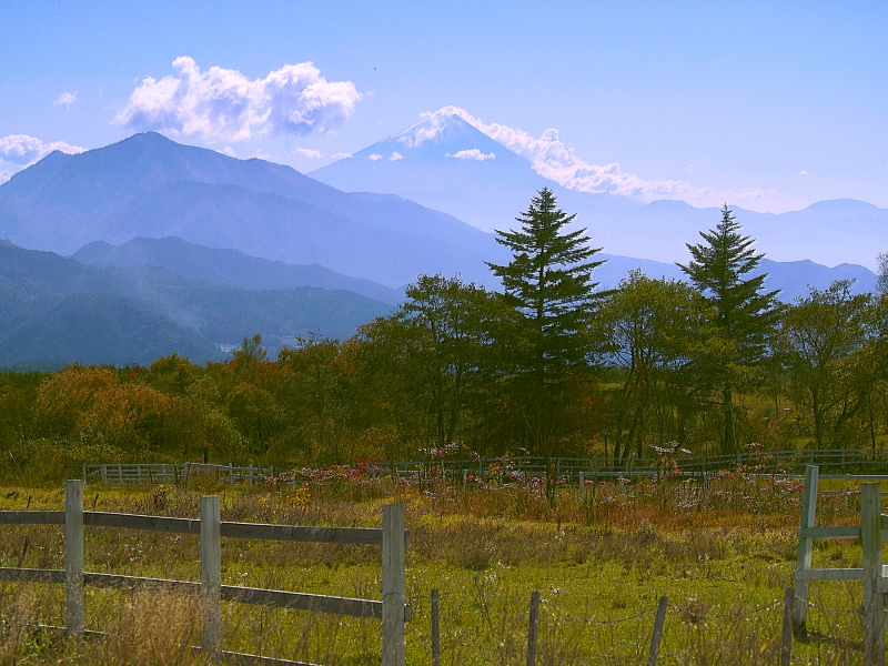 清泉寮の敷地からの富士山