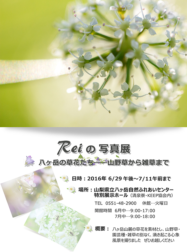 Reiの写真展　八ヶ岳山麓の草花たち、のチラシ