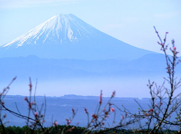 最近の富士山