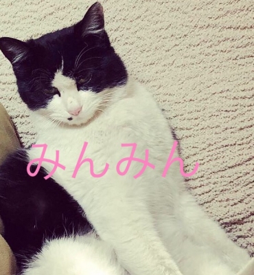 iPhoneImage.png