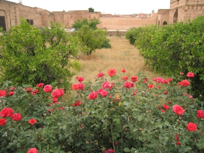 20100403 050.JPG