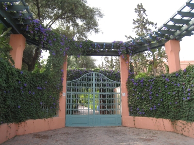 20100403 015.JPG