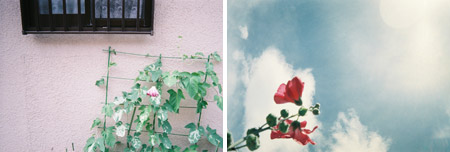 写ルンです