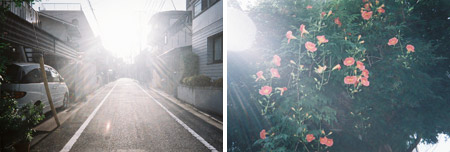 写ルンです