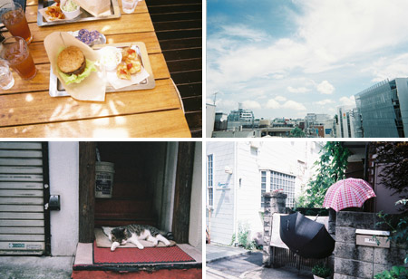 写ルンです