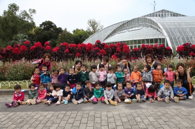 どんぐり 社会福祉法人 東寺学園 東寺保育園 公式ブログ 園だより