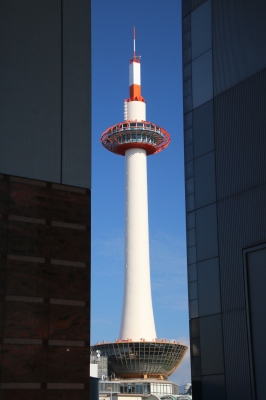 114.JPG