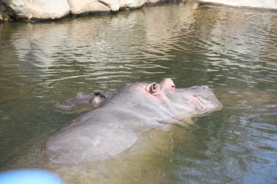 123.JPG