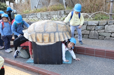 163.JPG