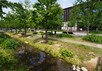 みんなの森 ぎふメディアコスモス 倉敷 建築設計事務所