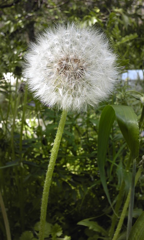 100522_1211~01.jpg