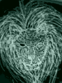 091002_1111~01_0001_0001_0001.jpg