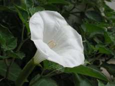 ファイル0198.jpg