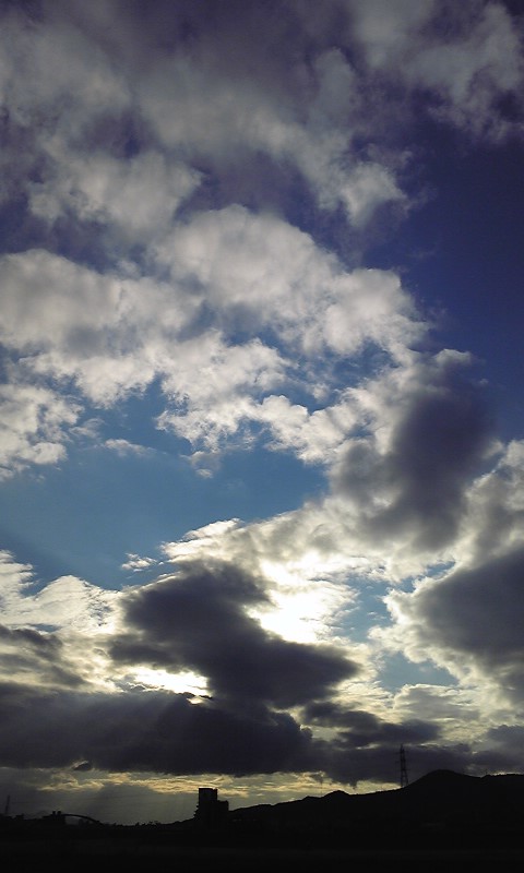 110104_1600~01.jpg