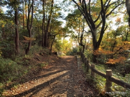 秋の山道